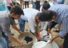 भारतीय जनता युवा मोर्चा मुंबई का गड्ढा भरों आंदोलन।