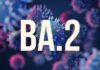 Omicron New Subvariant : BA2 से भारत को कितना खतरा 40 देशों सहित भारत में मिले केस